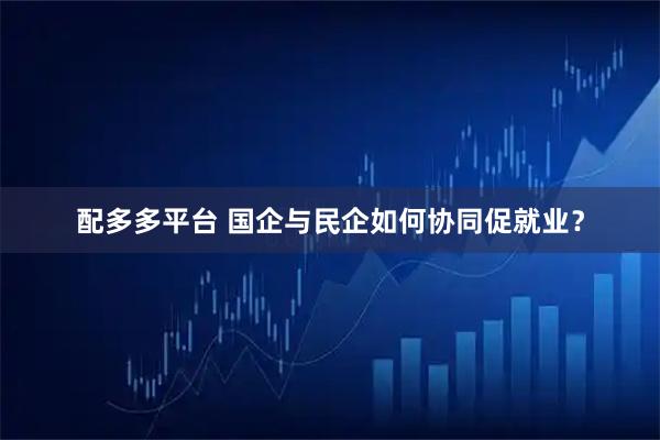 配多多平台 国企与民企如何协同促就业？